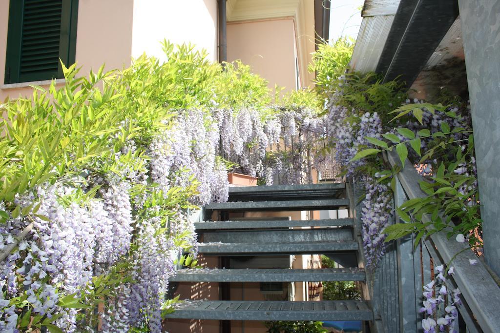 Hotel Grazia Cesenatico